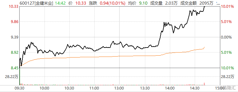 【金健米业(600127.sh)上演"地天板"】